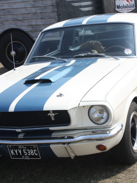 Gosporteers Motor Show Car Rally Stokes Bay Gosport Hants Mustang26th August 2013 by Thomas Newton